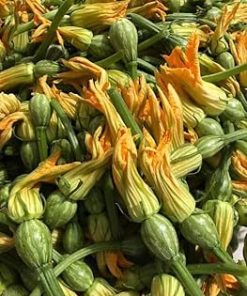 Hạt Giống Bí Siêu Nụ