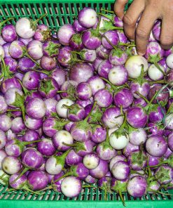 Hạt Giống Cà Pháo Tím