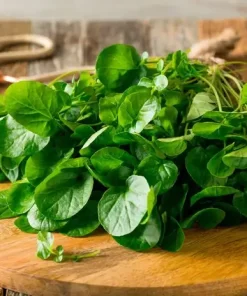 Hạt Giống Cải Xoong