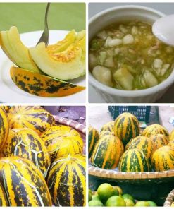 Hạt Giống Dưa Bở