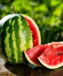 Hạt Giống Dưa Hấu Táo Baby