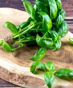 Hạt Giống Rau Húng Quế