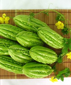 Hạt Giống Mướp Đắng (Khổ Qua)