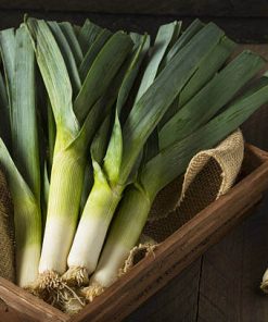 Hạt Giống Tỏi Tây